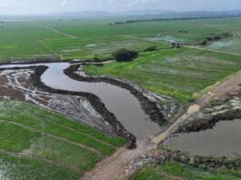 Indrhi avanza dragado del drenaje Pontón en Angelina ; beneficia 36,000 tareas arroceras