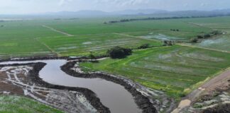 Indrhi avanza dragado del drenaje Pontón en Angelina ; beneficia 36,000 tareas arroceras